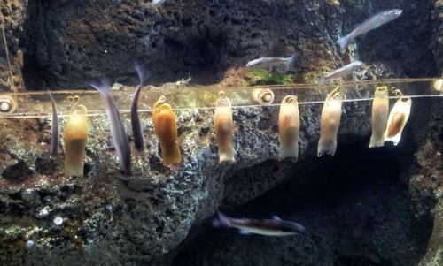20130915_160513.jpg