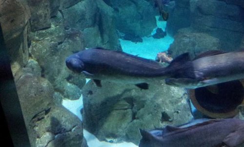 20130915_160617.jpg