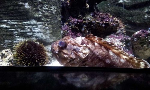 20130915_160715.jpg