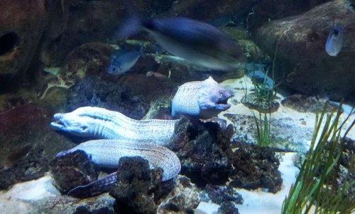 20130915_160917.jpg