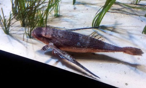 20130915_161006.jpg