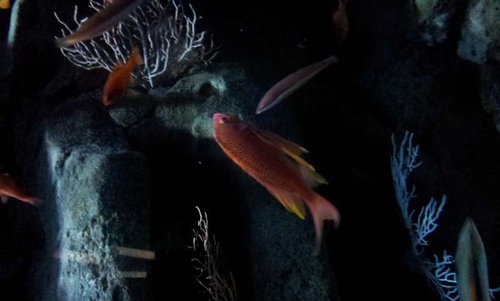 20130915_161059.jpg