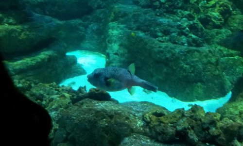20130915_161146.jpg