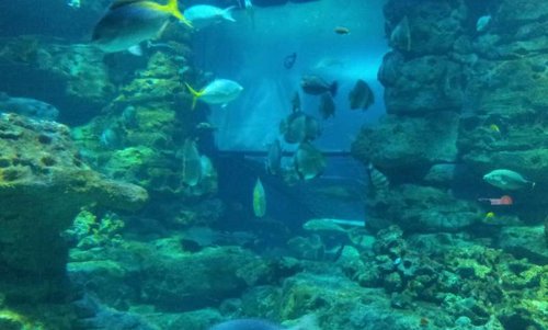20130915_161157.jpg