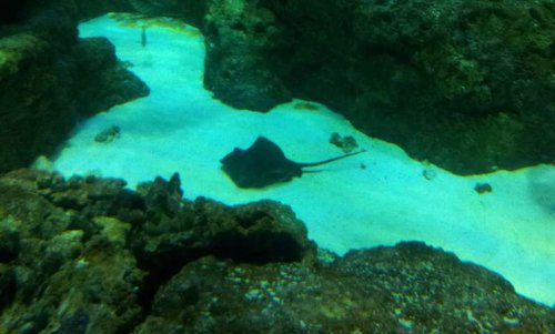20130915_161347.jpg