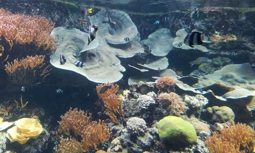 20130915_161739.jpg