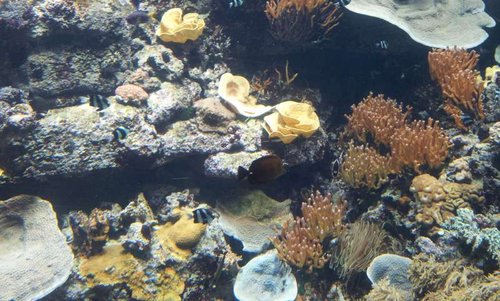 20130915_161744.jpg