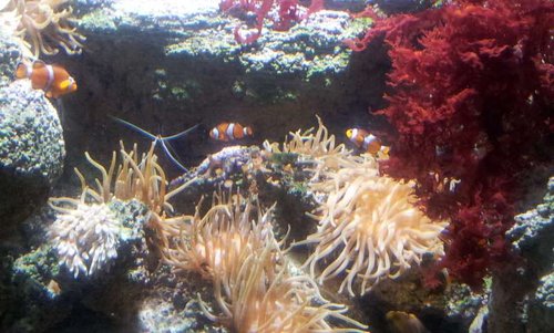 20130915_161959.jpg