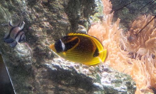 20130915_162043.jpg
