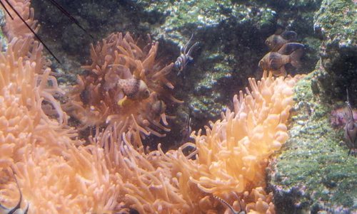 20130915_162059.jpg