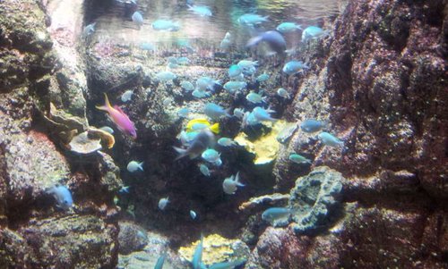 20130915_162300.jpg