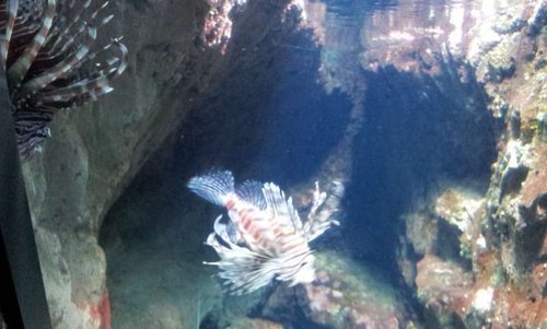 20130915_162537.jpg
