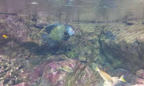 20130915_162745.jpg