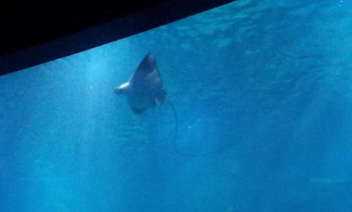 20130915_163107.jpg