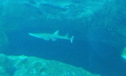 20130915_163839.jpg