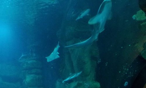 20130915_163955.jpg