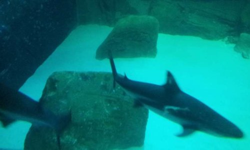 20130915_164247.jpg