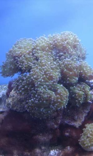 IMAG0020.jpg