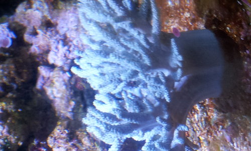 20131206_185254.jpg
