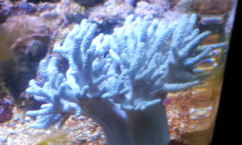 20131206_185310.jpg