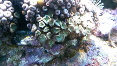 20131215_170813.jpg