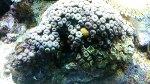 20131215_170822.jpg