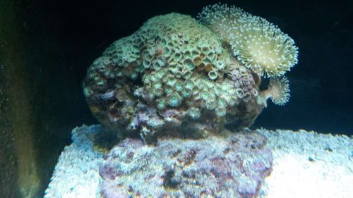 20131217_173556[1].jpg