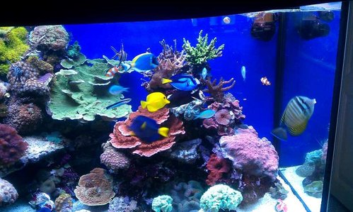 IMAG0115.jpg