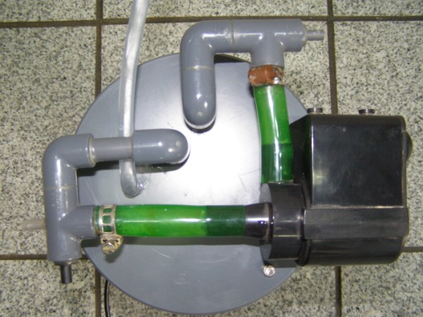 P6180029 (600 x 450).jpg