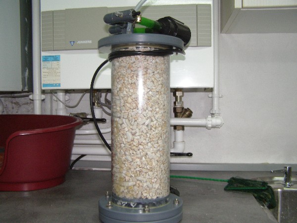 P6180028 (600 x 450).jpg