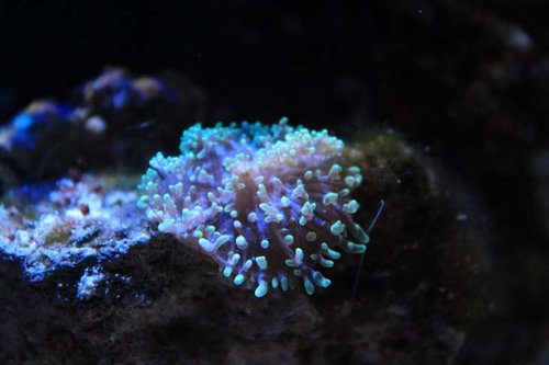 IMG_9802.JPG